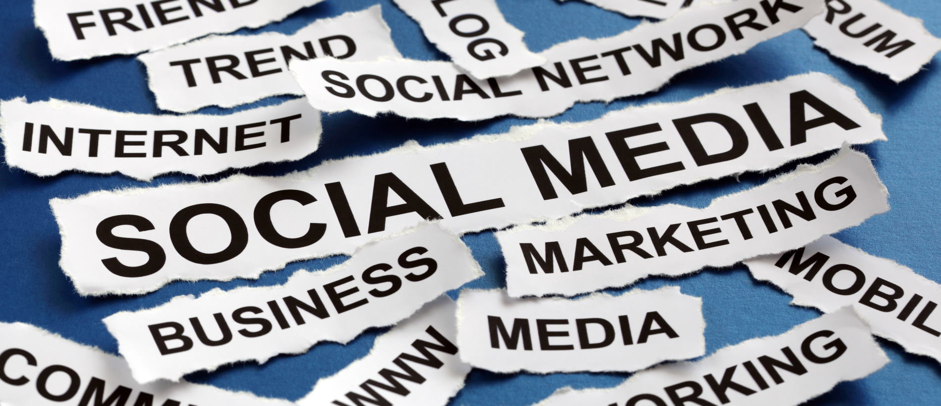 Organisation und Aufbau erfolgreicher Social-Media-Teams | eCommerce Werkstatt