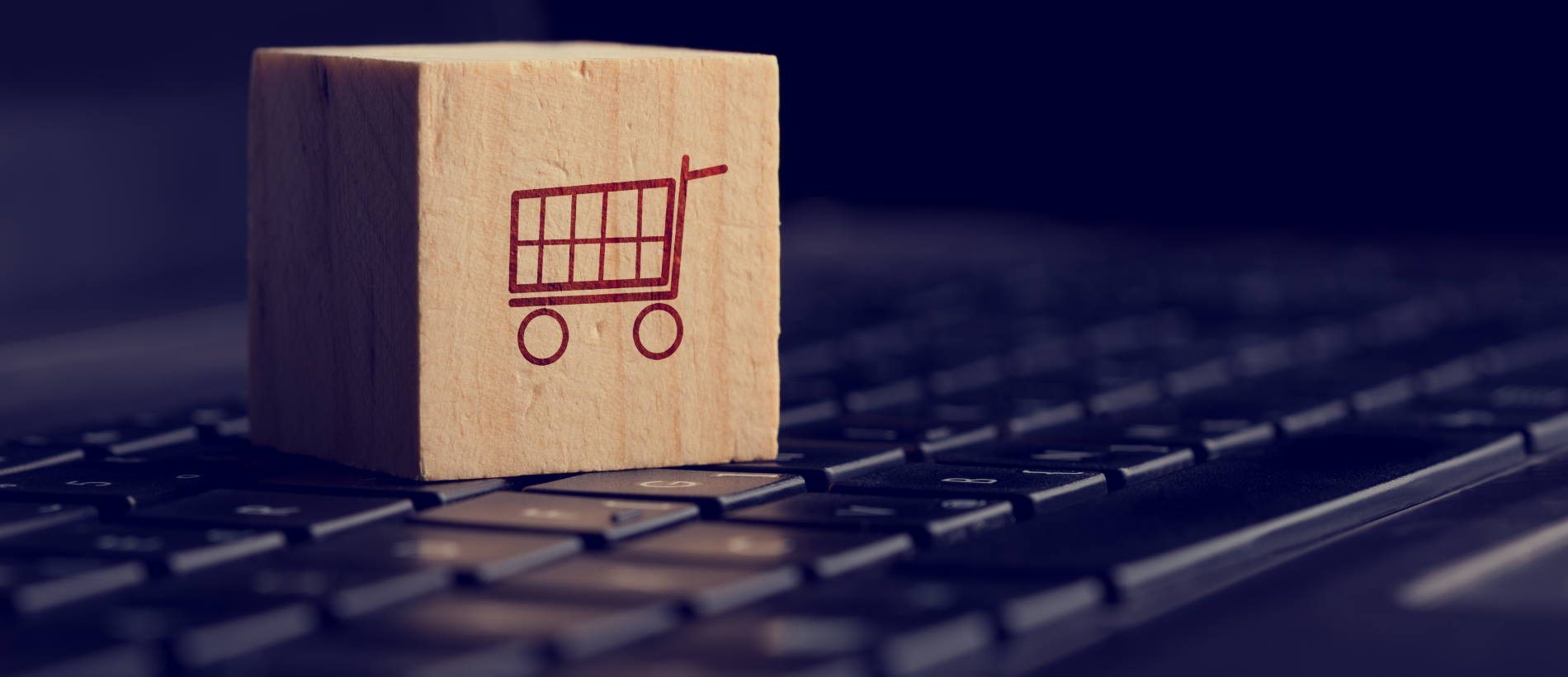 Erfolgreiches E-Commerce in der DACH-Region | eCommerce Werkstatt