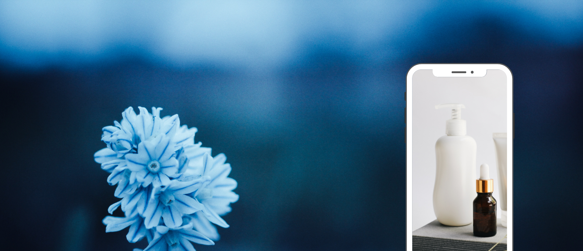 Kundenerwartungen/-verhalten online und offline | ecw Magazin