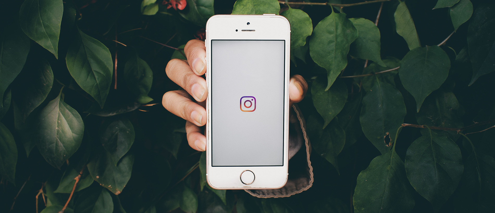 Instagram-Marketing: Für welche Branchen ist es unverzichtbar? | ecw Magazin